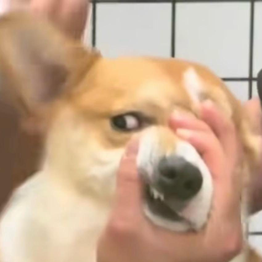 富 贵