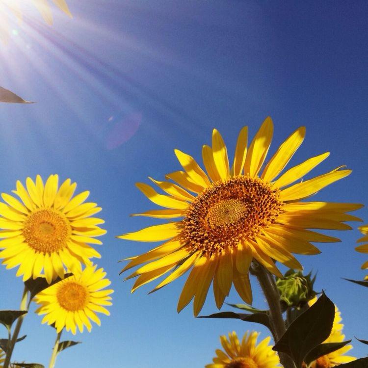 一切皆有可能！