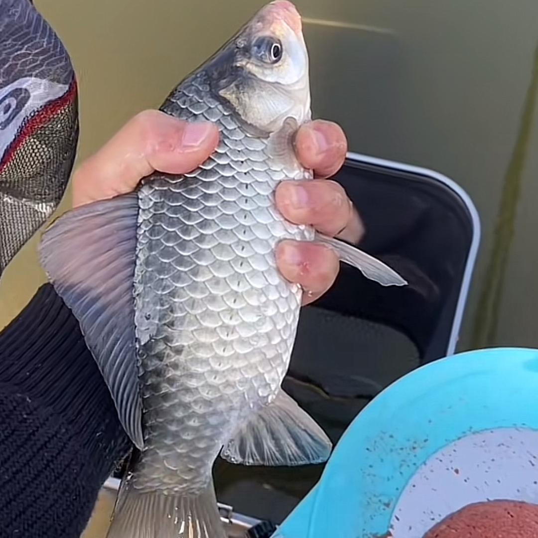 江太公渔具优选