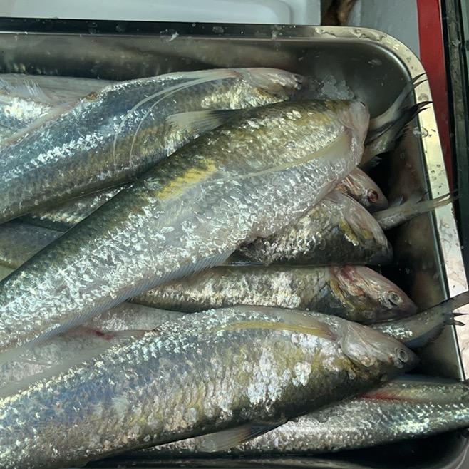 上农批小胡鲜渔坊