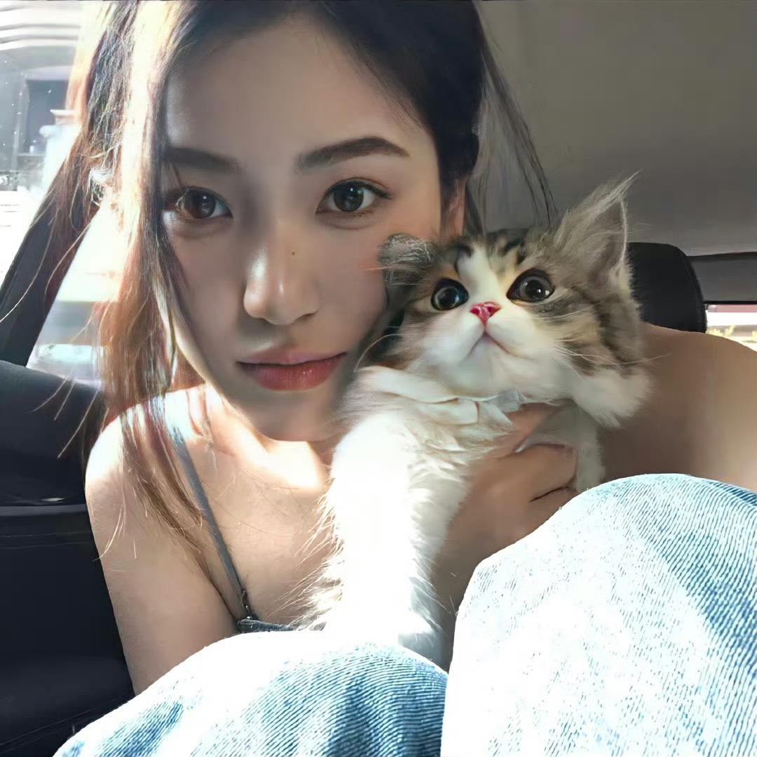关于小熊