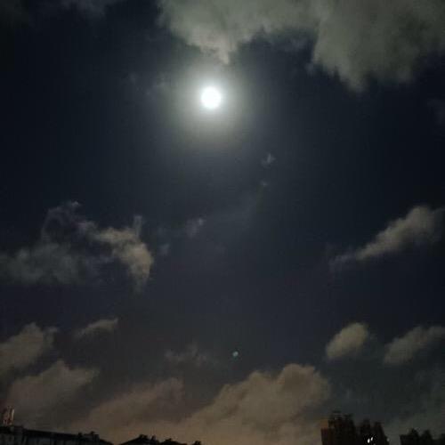 ✨ꦿ白羊座