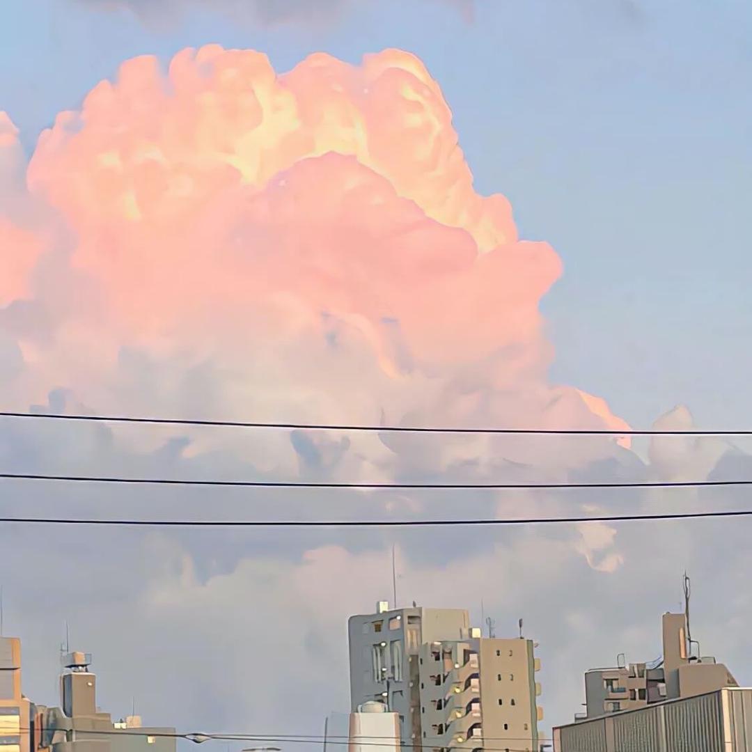 みやみず みつは