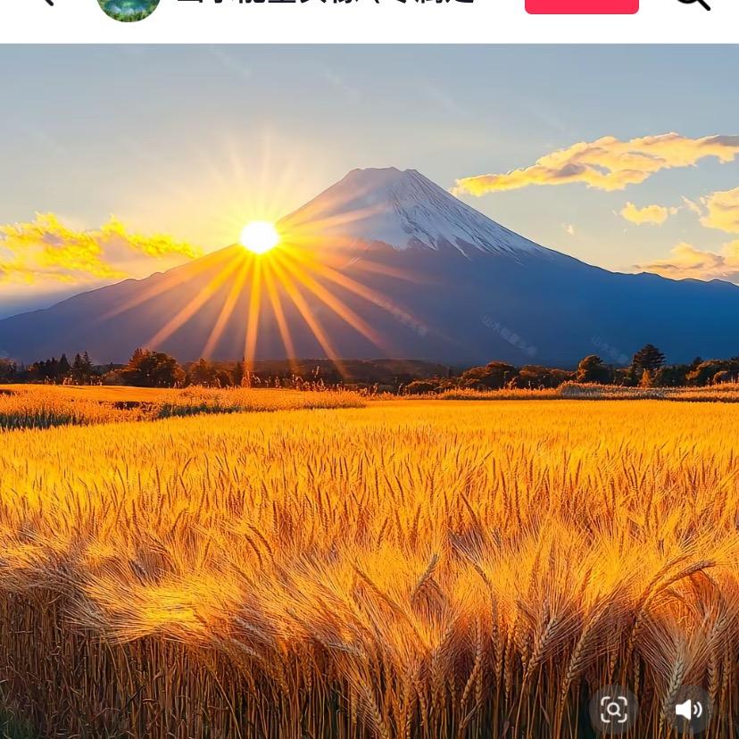 鸿运当头（拒私聊）