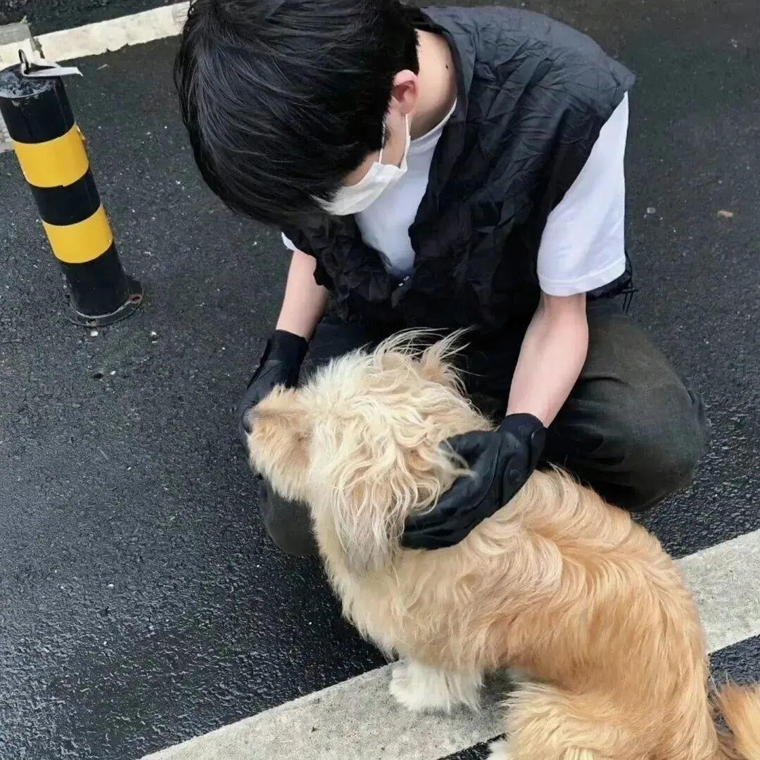 李木子，👻