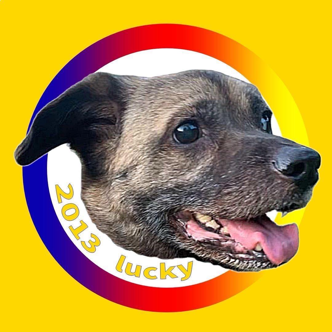 11点睡觉的黑猫🇨🇳，早睡早起身体好