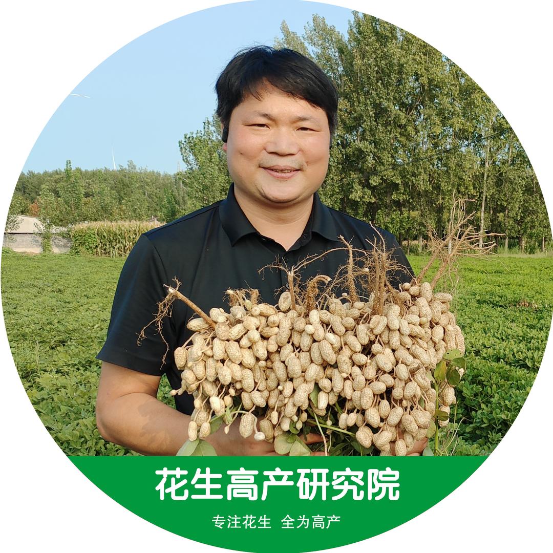 花生高产研究院刘院长