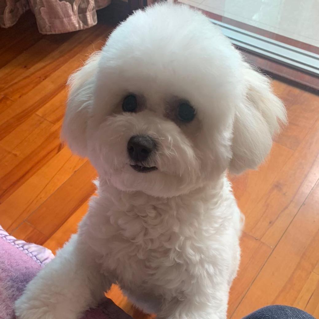 天天🐶