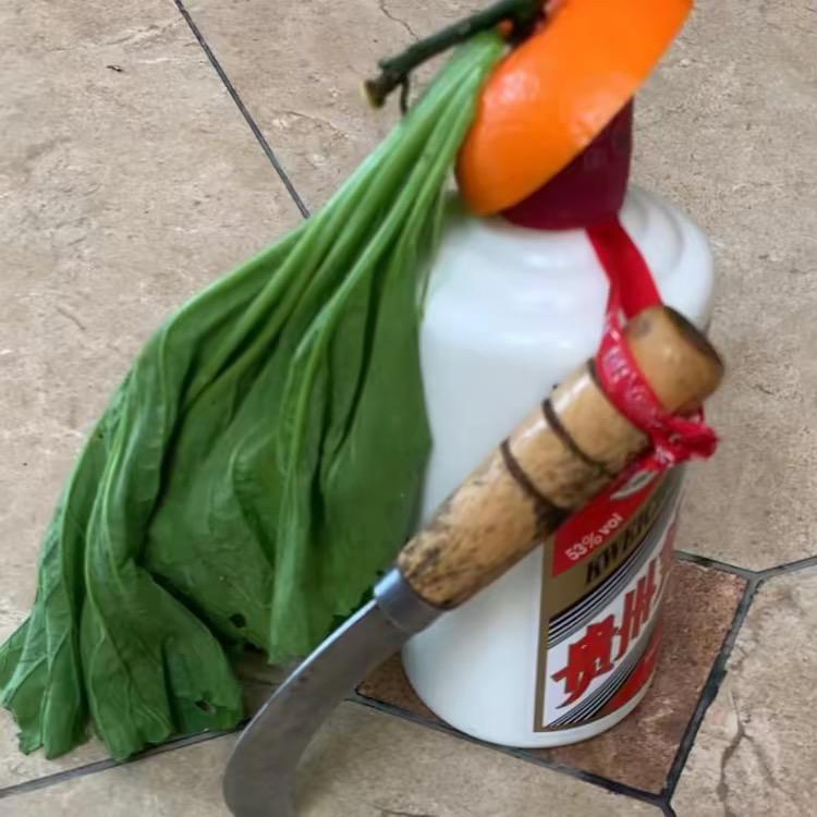 sina
