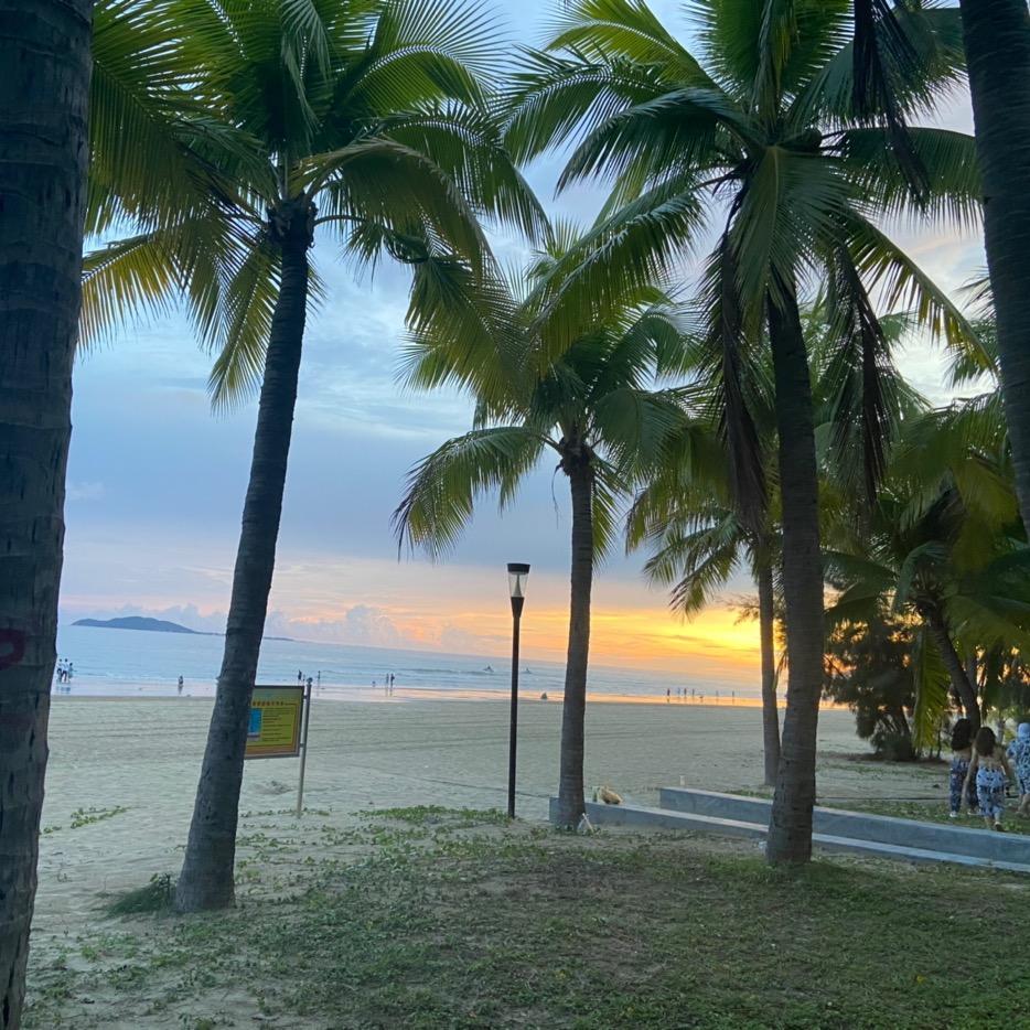 米哒哒☀️