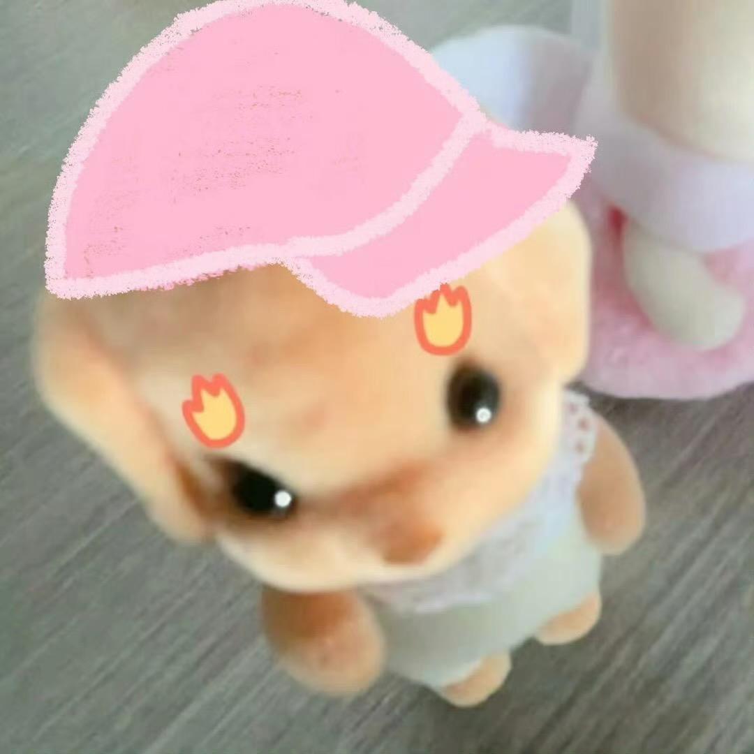 在下rr大王