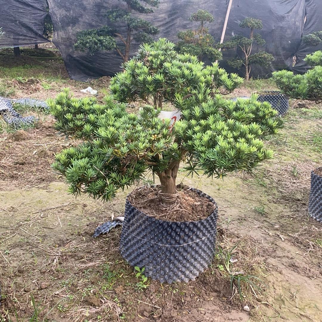 九宫格