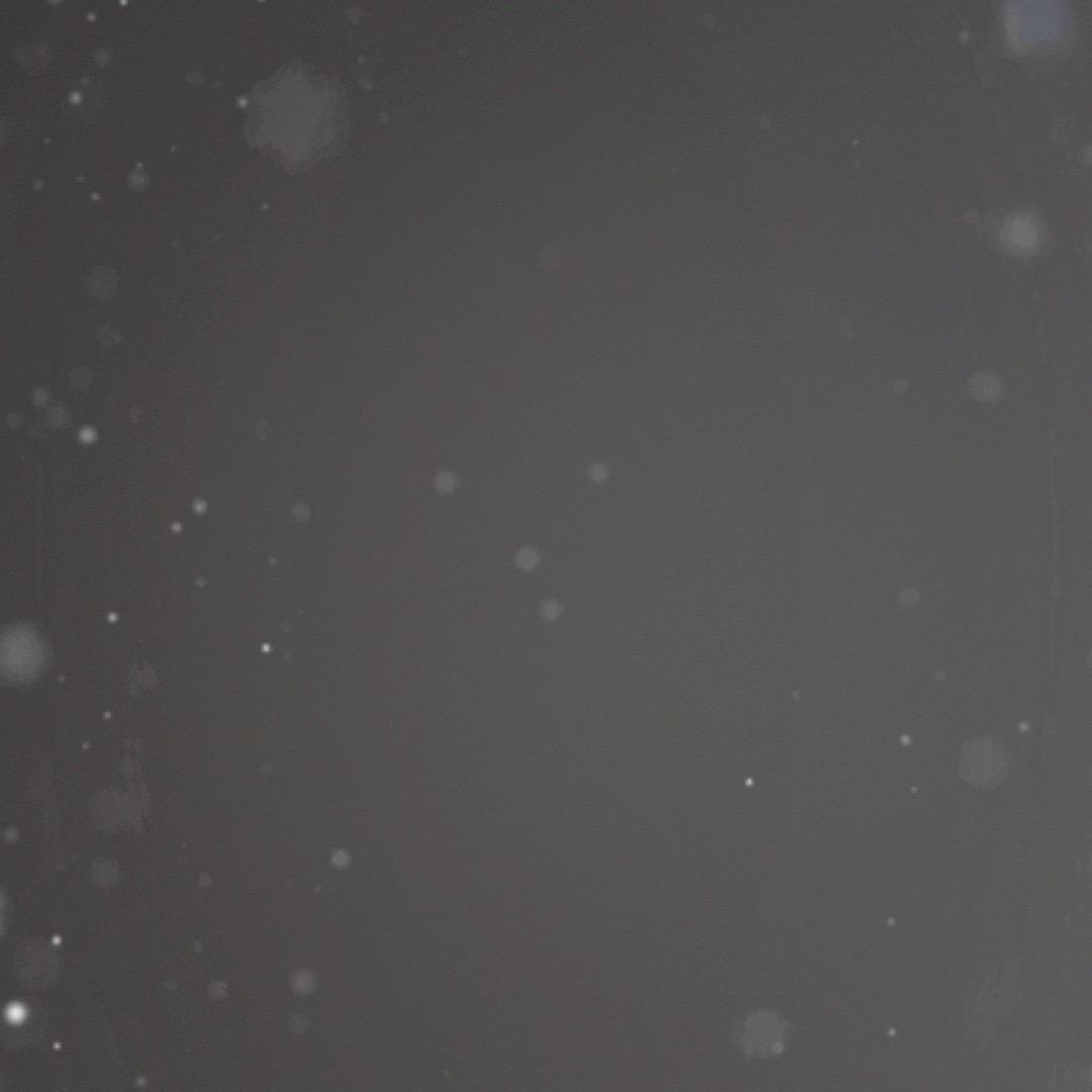 错过
