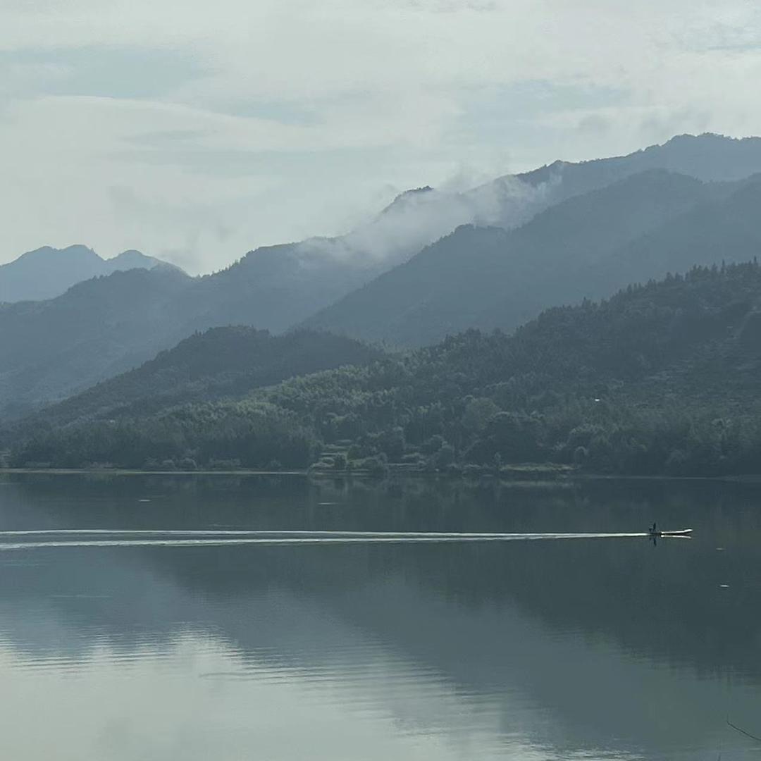 蟑螂为什么叫小强