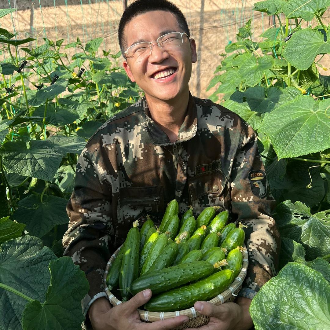 东小北生鲜（每日采摘）