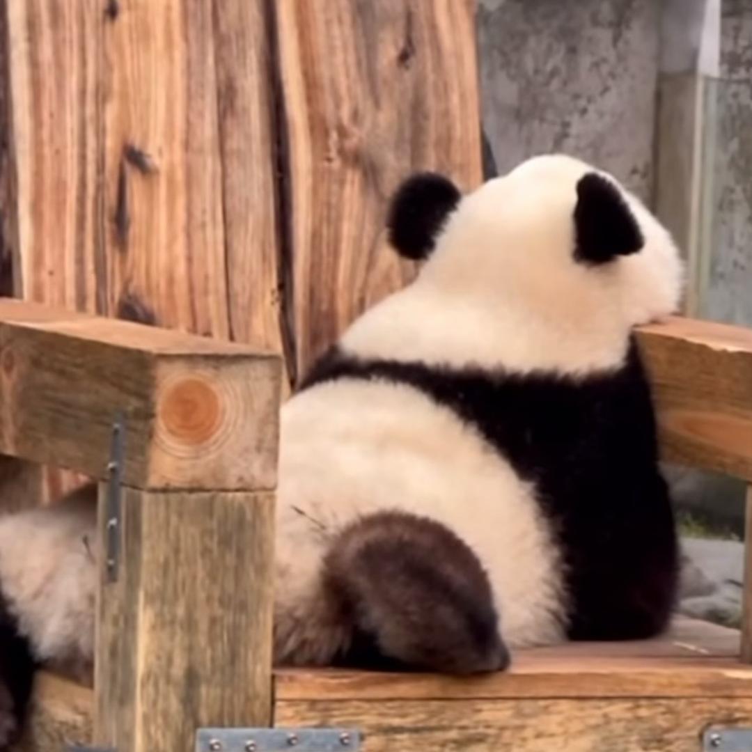 灿若星辰🍁🦋