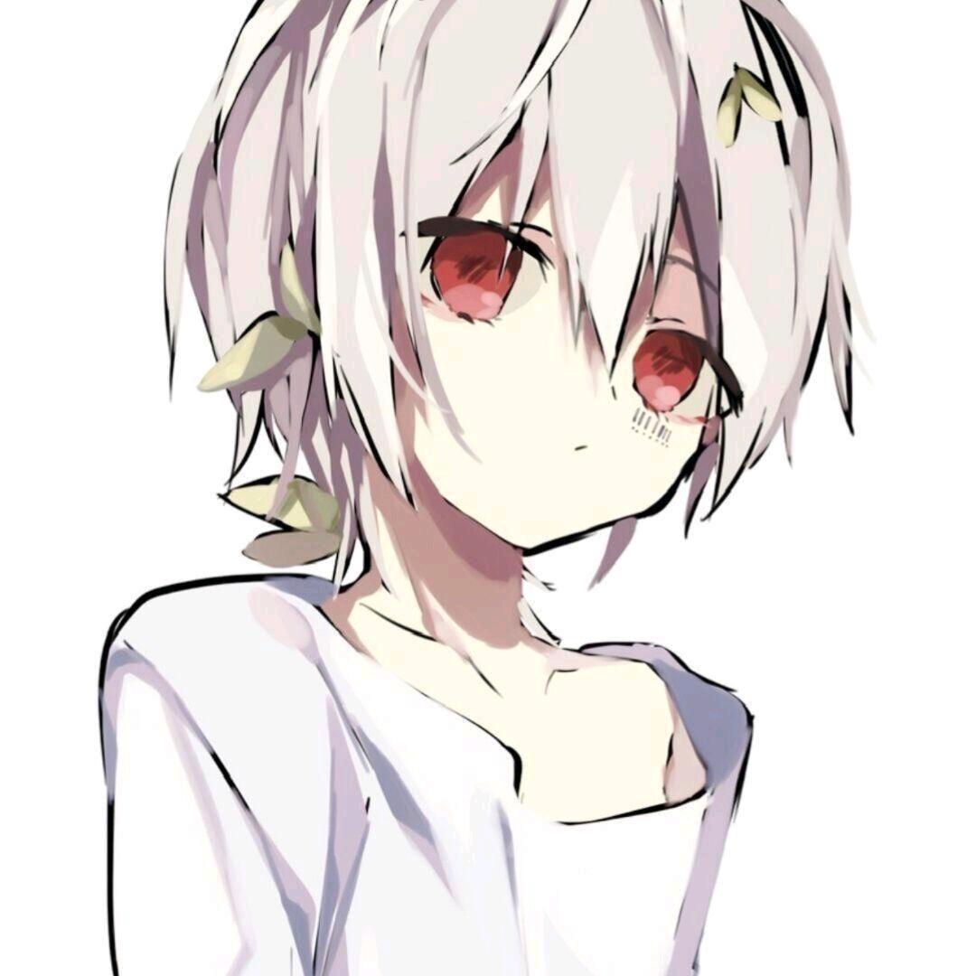 夏风