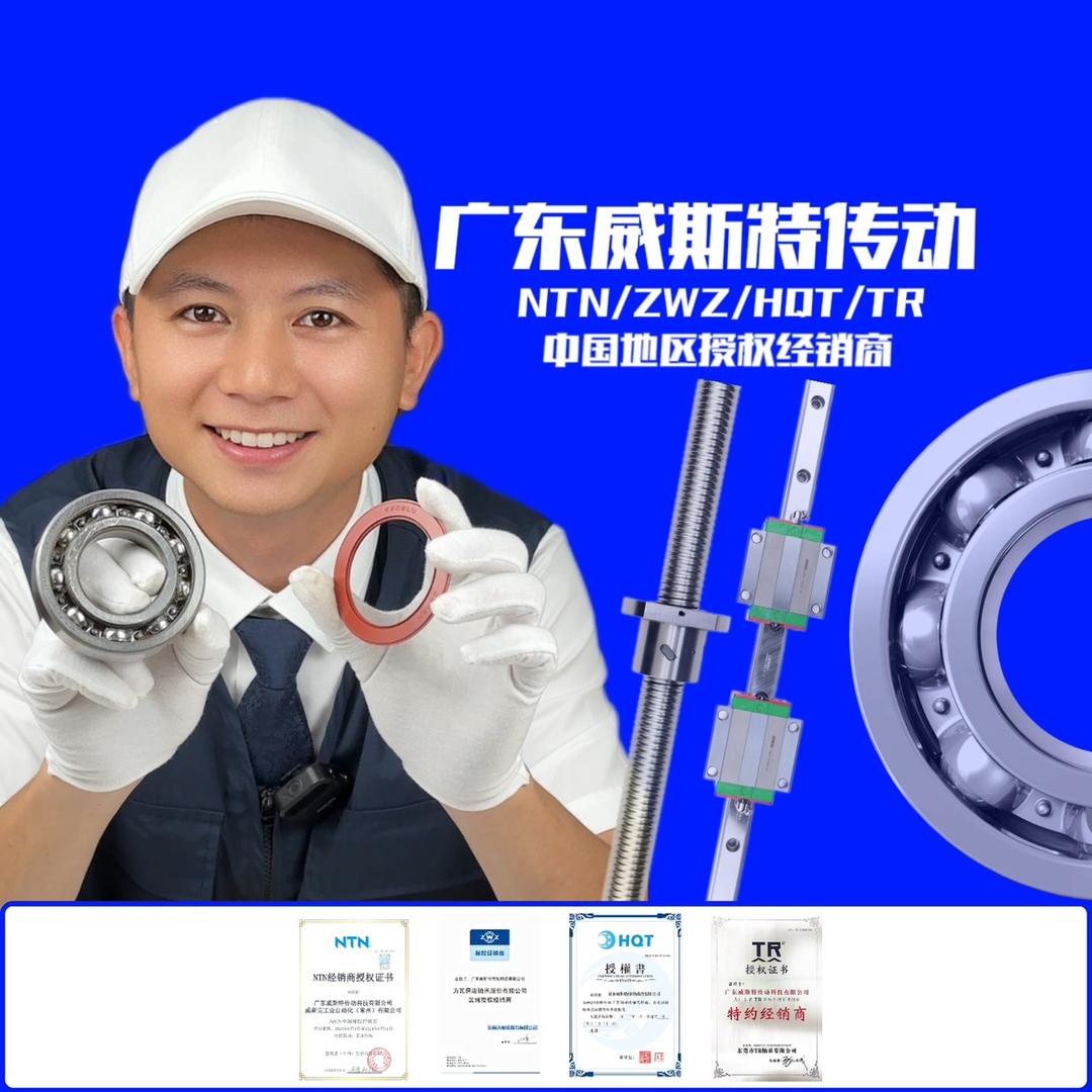 广东威斯特轴承