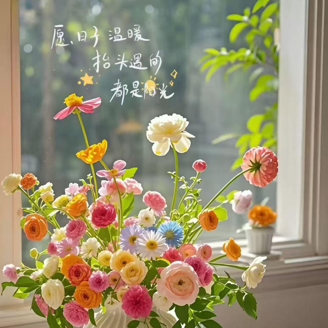 雅戈尔南翔云集小刘