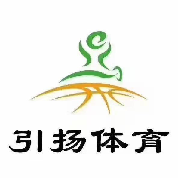 引扬体育 （龙泰店）