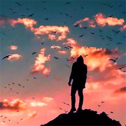 抬头仰望放肆的微笑