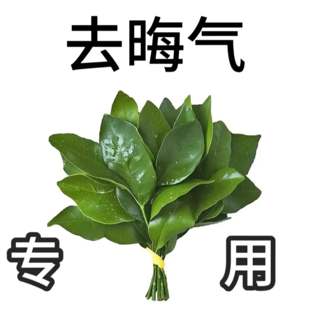 说了你又不高兴