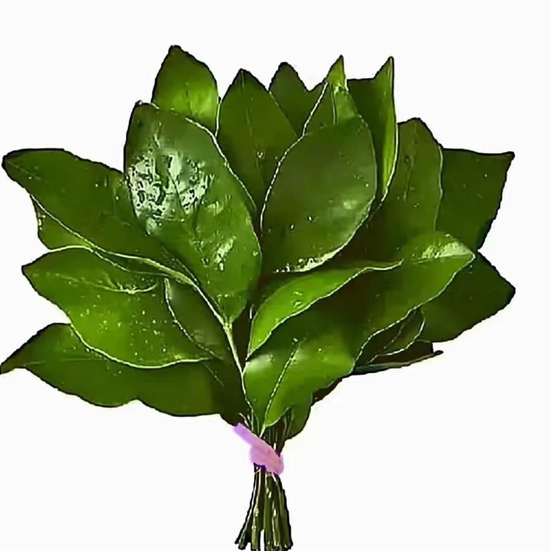 温柔一姐