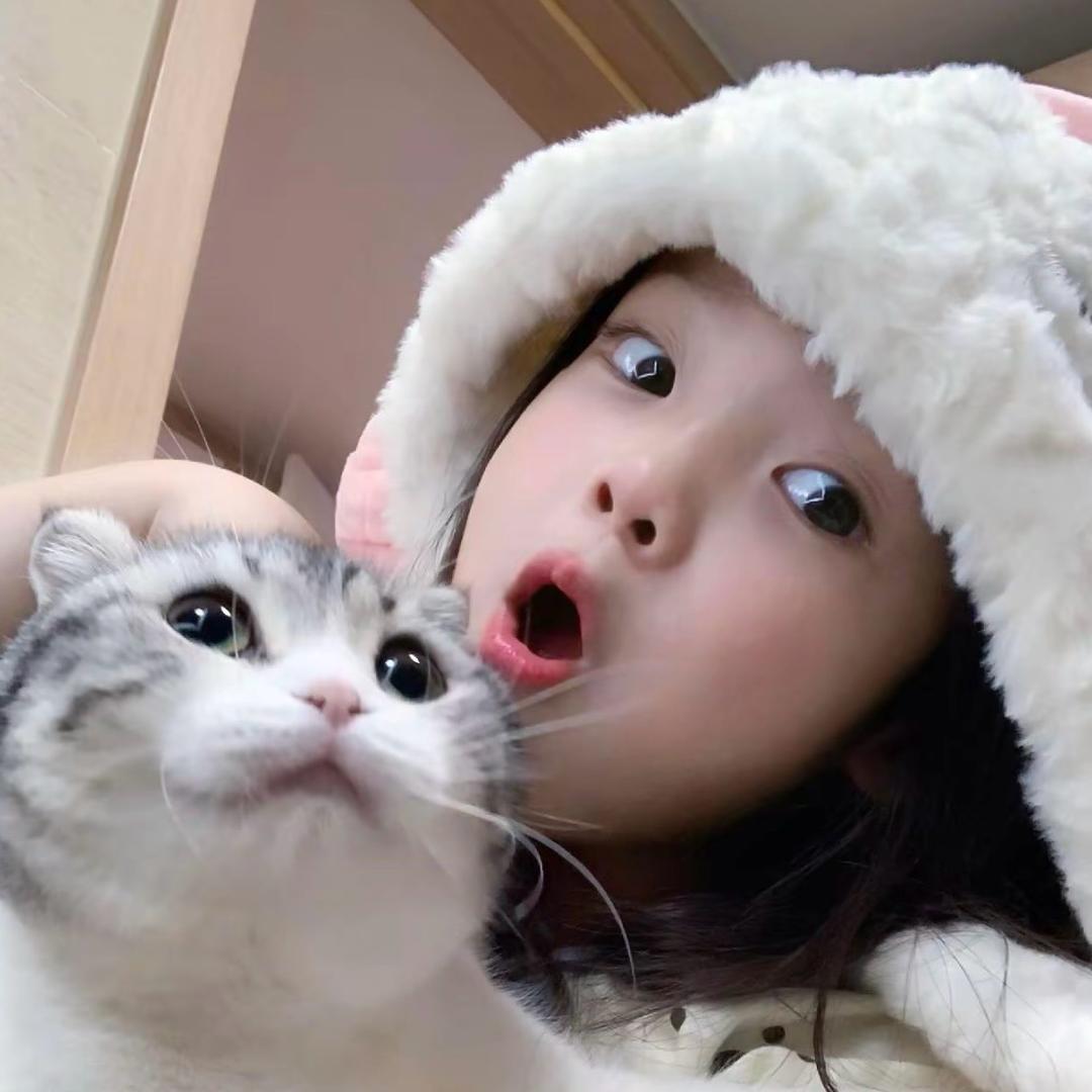 蓝莓小蛋糕🤍