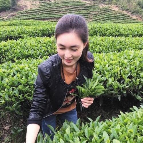 李丽波家茶叶个体店