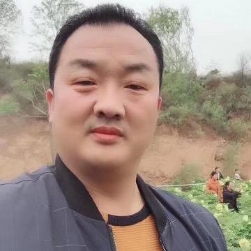 河南亮哥萌宠记