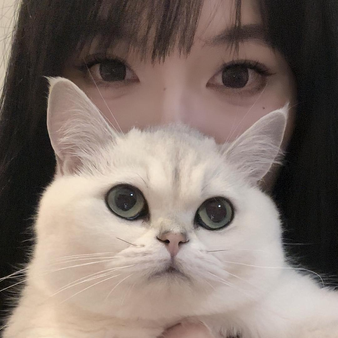 小猫做题家