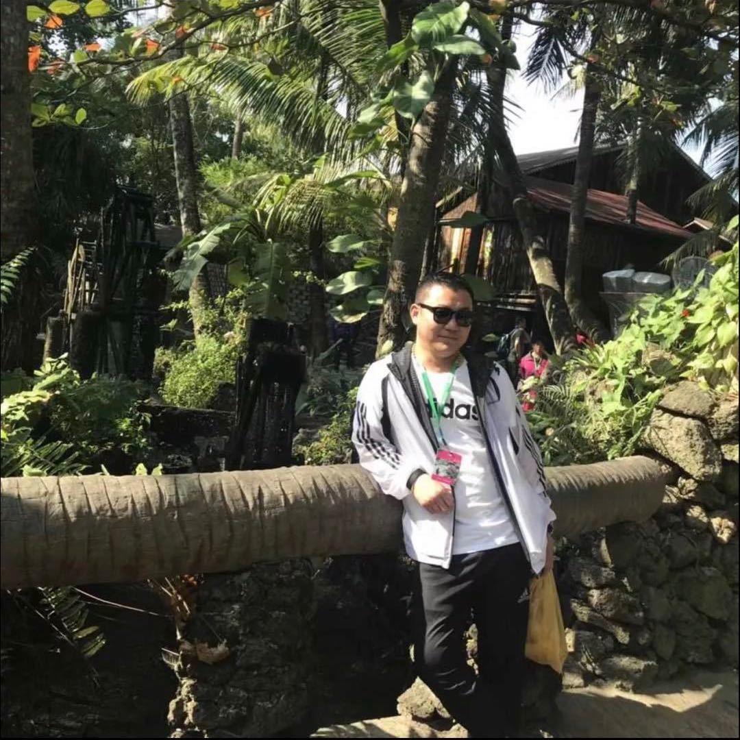 龙霸天下