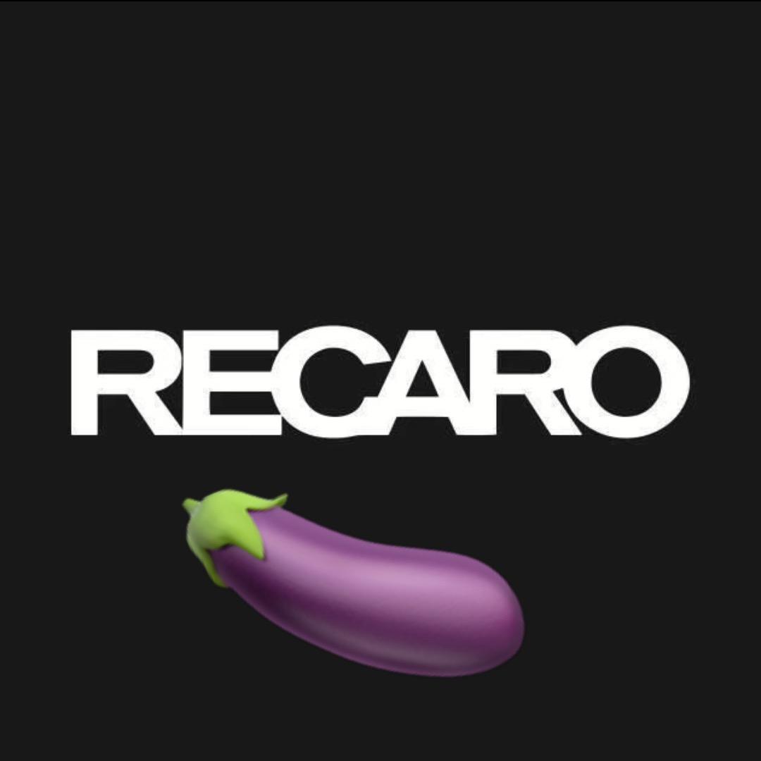 RECARO大表哥〔藏龙🐉贸易〕