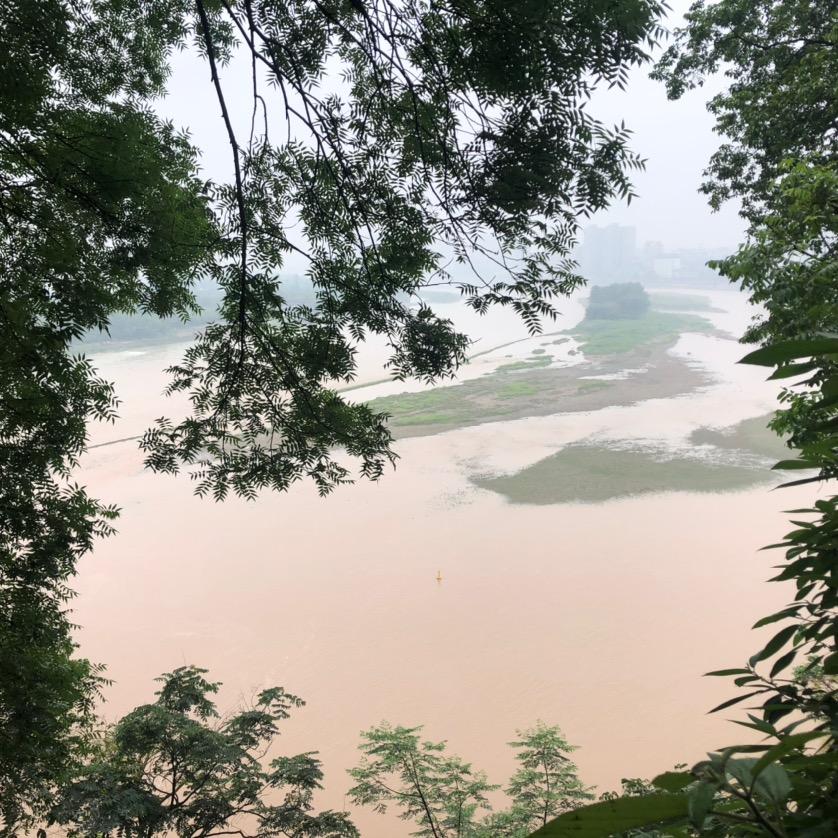 夏小雪