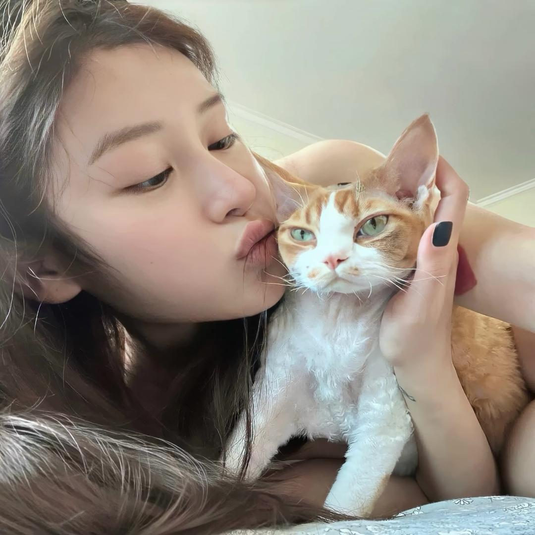 呆弟