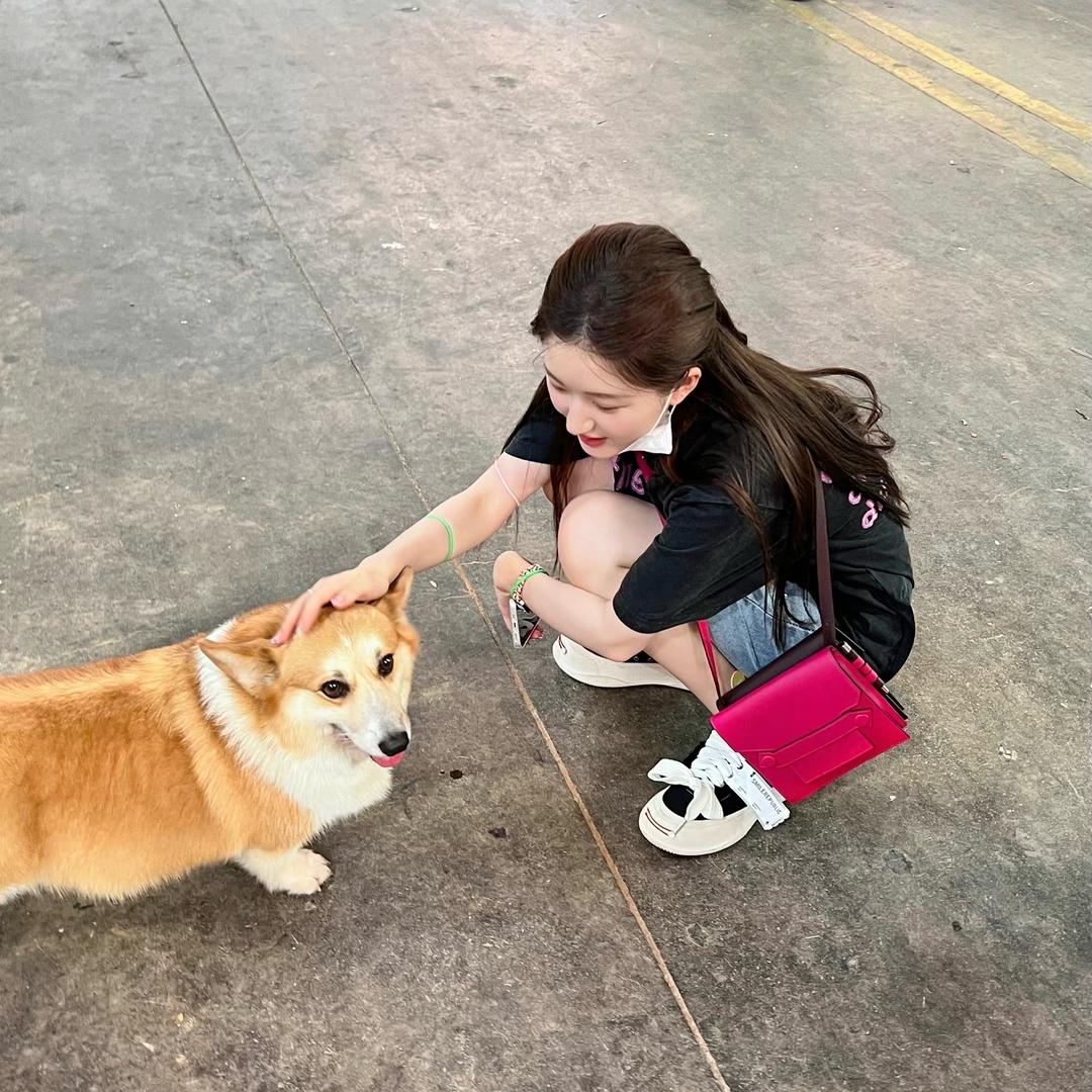 薯条大王