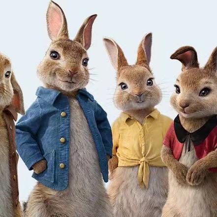 生哥的兔宝（怀旧版）