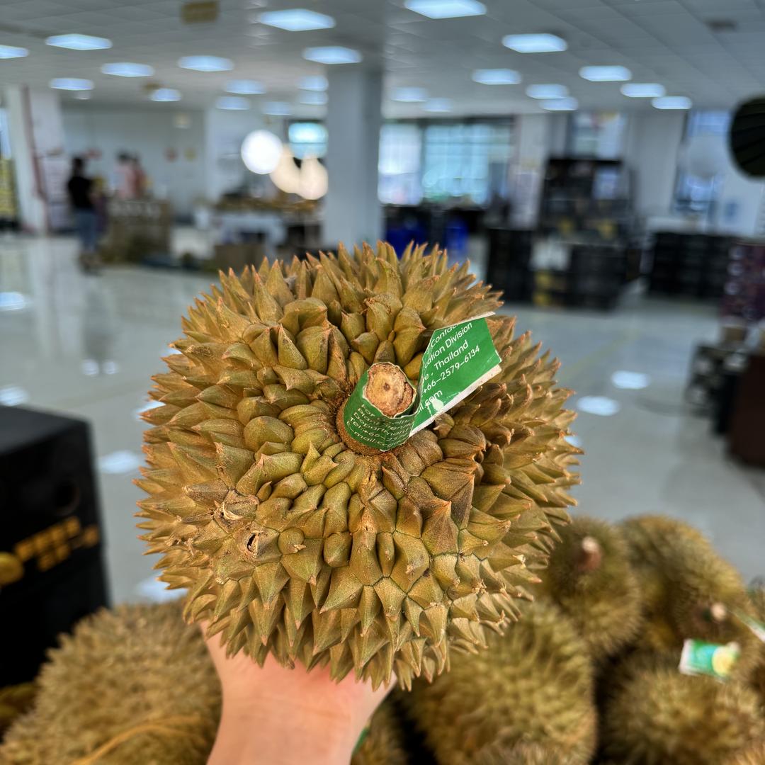 辛娅百货商行