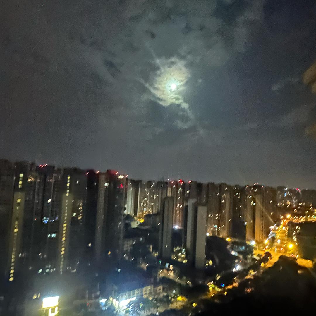 文