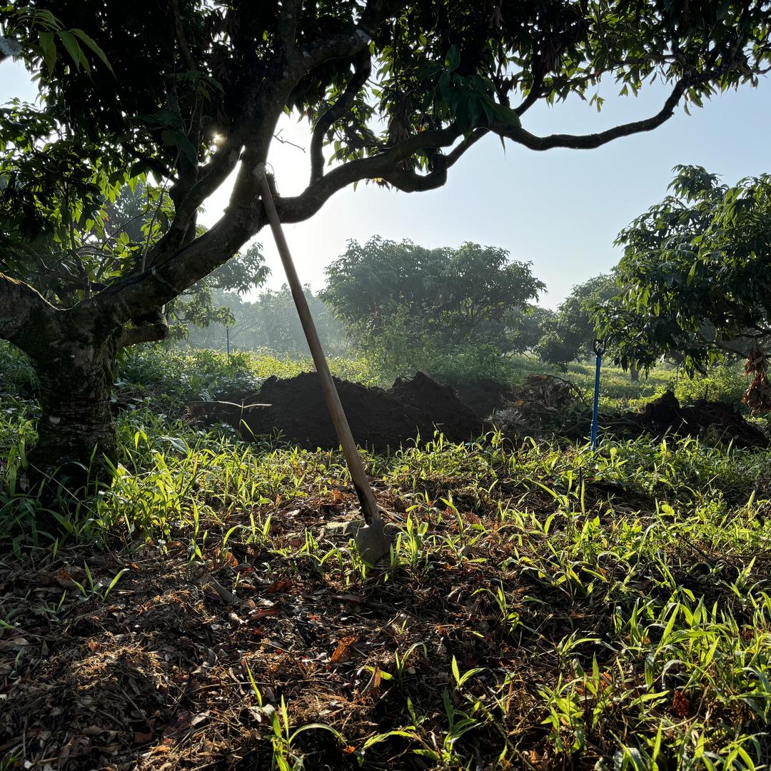 植正集三农优选