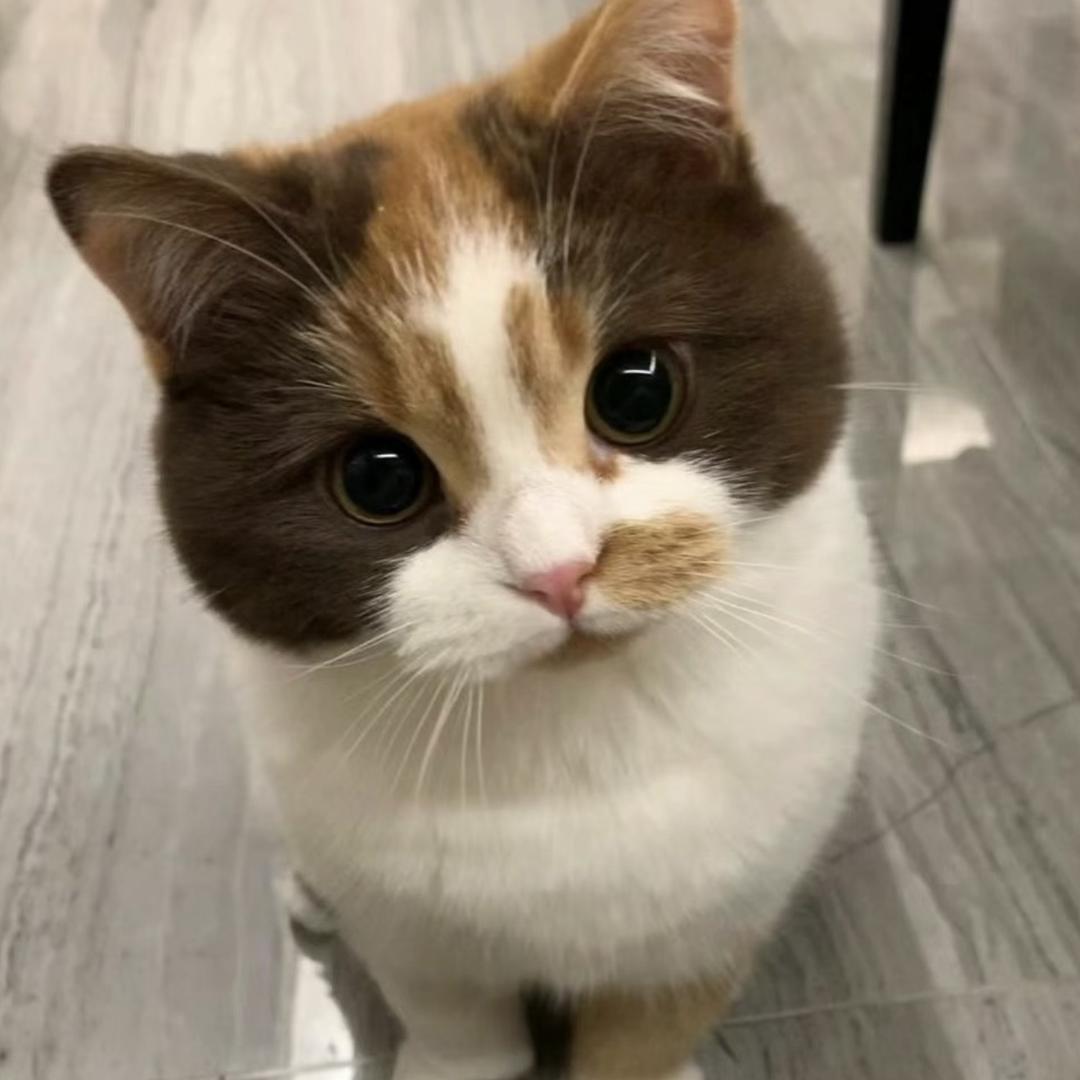 yyyyyy
