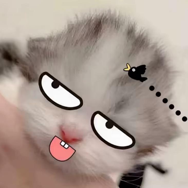 小锅锅