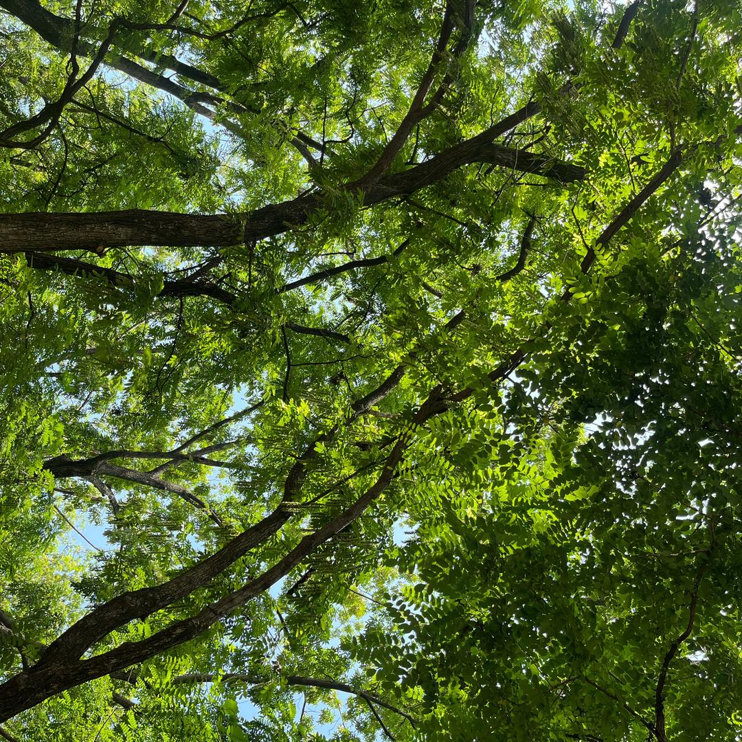 一直找不到合适的名字