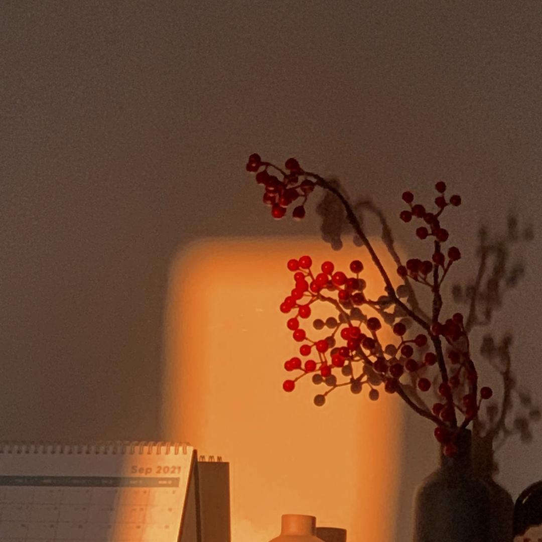 一二一💫