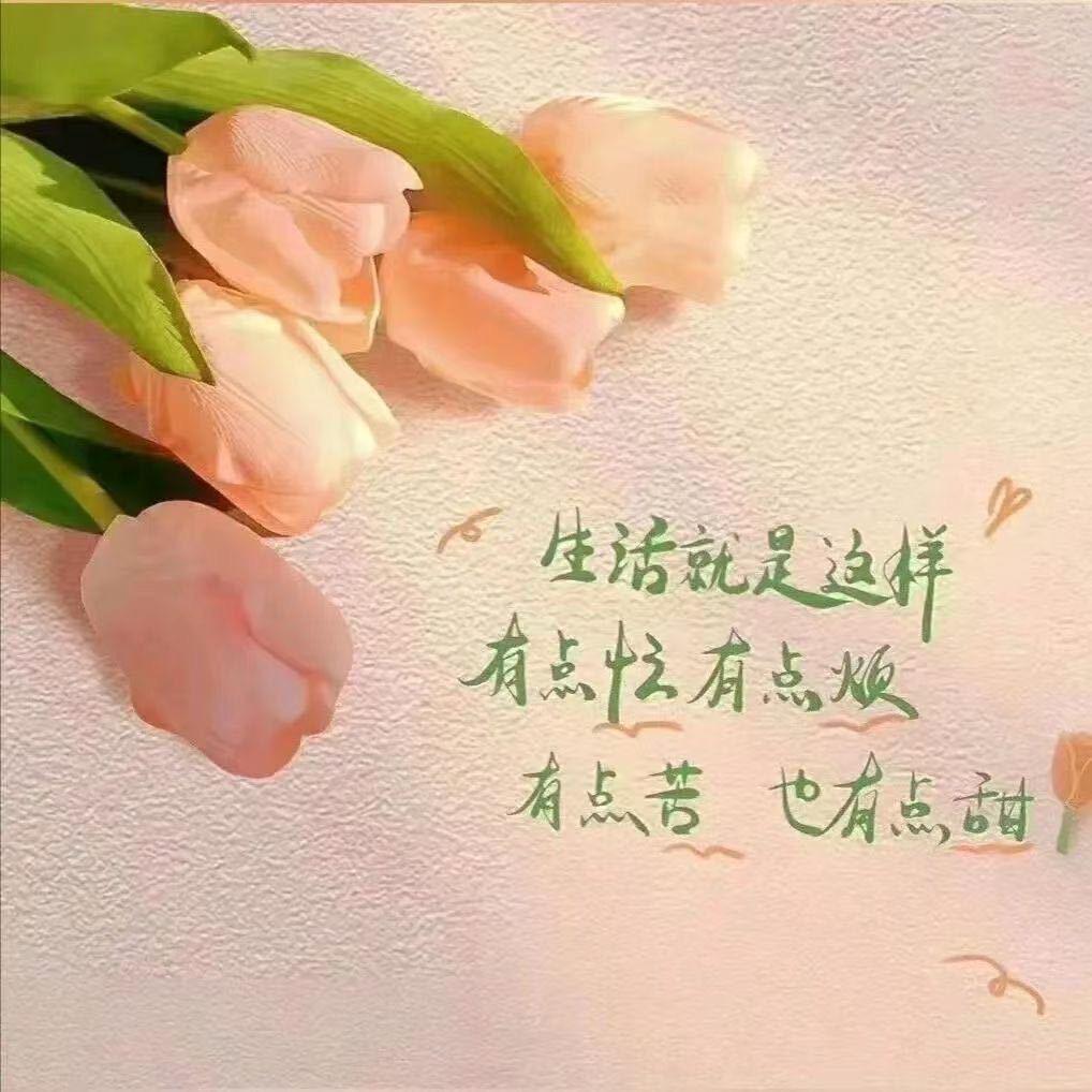 玉景手工水饺