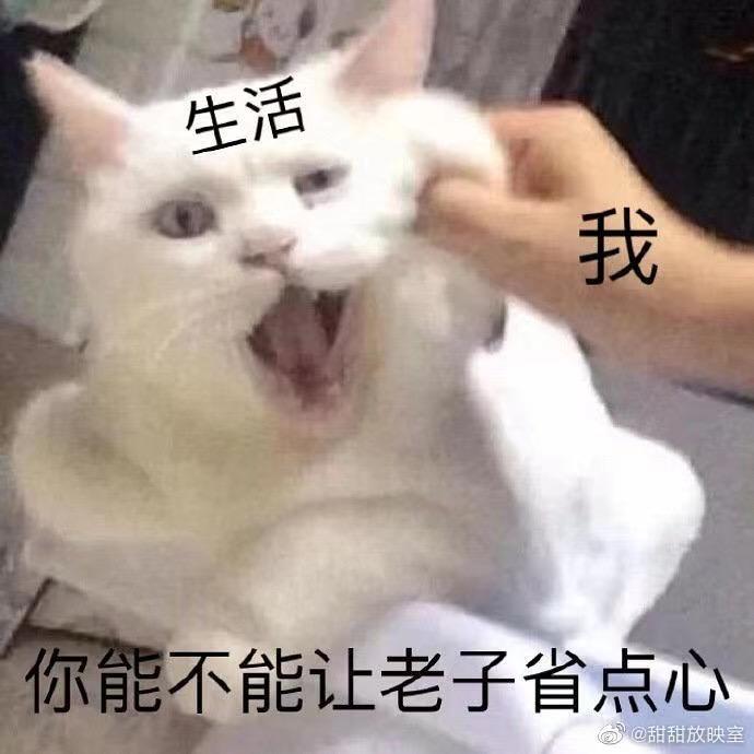 冰冰冰不冰