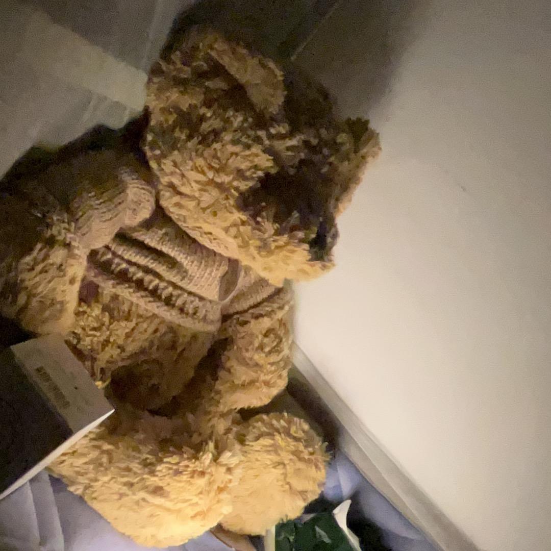 不再听陈奕迅