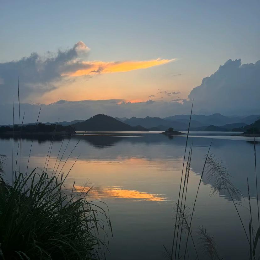 杨互怡臻选坊