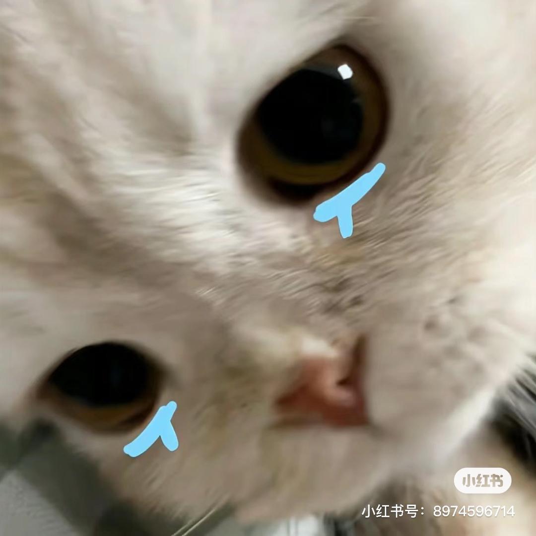 小无語