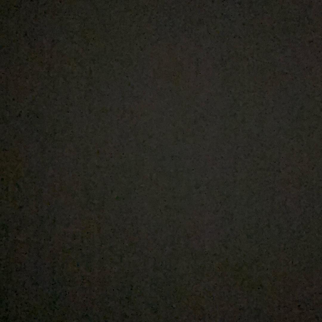 阳阳